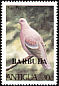 Plain Pigeon Patagioenas inornata  1980 Overprint BARBUDA on Antigua 1980.01 