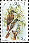 Lesser Antillean Flycatcher Myiarchus oberi  1991 Wild birds 
