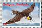 Pomarine Jaeger Stercorarius pomarinus  1998 Overprint BARBUDA MAIL on Antigua & B 1996.02 Strip