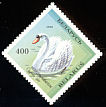 Mute Swan Cygnus olor  1994 Birds in the Red Book 