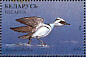 Smew Mergellus albellus  1996 Ducks and wading birds Sheet