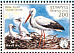 White Stork Ciconia ciconia  2002 BirdLife International Sheet