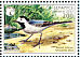 White Wagtail Motacilla alba  2002 BirdLife International Sheet