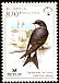 Western House Martin Delichon urbicum  2004 Bird of the year BirdLife 