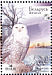 Snowy Owl Bubo scandiacus  2007 Owls BirdLife Sheet with 2 sets