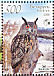 Eurasian Eagle-Owl Bubo bubo  2008 Owls BirdLife Sheet with 2 sets