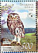Little Owl Athene noctua  2008 Owls BirdLife Sheet with 2 sets