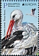 White Stork Ciconia ciconia  2019 Europa 