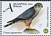 Merlin Falco columbarius  2021 Falcons 