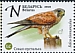 Common Kestrel Falco tinnunculus  2021 Falcons 