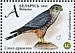 Merlin Falco columbarius  2021 Falcons Sheet