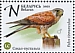 Common Kestrel Falco tinnunculus  2021 Falcons Sheet
