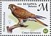 Common Kestrel Falco tinnunculus  2021 Falcons Sheet