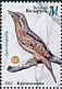 Eurasian Wryneck Jynx torquilla  2022 Woodpeckers 