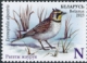 Horned Lark Eremophila alpestris  2023 Birds, winter guests of Belarus 