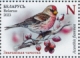 Common Redpoll Acanthis flammea  2023 Birds, winter guests of Belarus Sheet with 2 sets