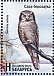 Northern Hawk-Owl Surnia ulula  2023 Birds of Belarus - Strigiformes Sheet