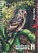 Eurasian Eagle-Owl Bubo bubo  2023 Birds of Belarus - Strigiformes Sheet