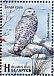 Snowy Owl Bubo scandiacus  2023 Birds of Belarus - Strigiformes Sheet