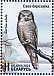 Northern Hawk-Owl Surnia ulula  2023 Birds of Belarus - Strigiformes 