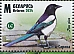 Eurasian Magpie Pica pica