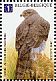 Eurasian Goshawk Accipiter gentilis  2010 Buzins birds Sheet