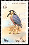 Boat-billed Heron Cochlearius cochlearius  1979 Birds 