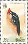 Lineated Woodpecker Dryocopus lineatus  1979 Birds Sheet