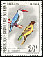 Woodland Kingfisher Halcyon senegalensis  1982 Birds 
