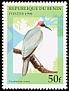 Grey-necked Rockfowl Picathartes oreas  1996 Birds 