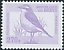 Northern Wheatear Oenanthe oenanthe  2000 Birds 