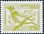 Eastern Olivaceous Warbler Iduna pallida  2000 Birds 