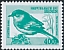 Eastern Subalpine Warbler Curruca cantillans  2000 Birds 