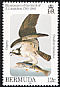 Osprey Pandion haliaetus  1985 Audubon 