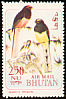 Ward's Trogon Harpactes wardi  1969 Rare birds 