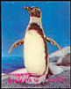 Humboldt Penguin Spheniscus humboldti  1969 Birds 3-D stamps