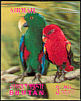Moluccan Eclectus Eclectus roratus  1969 Birds 3-D stamps