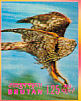Eurasian Goshawk Accipiter gentilis  1969 Birds Sheet, 3-D stamps