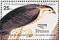 Sharp-shinned Hawk Accipiter striatus  1985 Audubon  MS