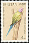 Plum-headed Parakeet Psittacula cyanocephala  1989 Birds 