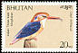 Black-backed Dwarf Kingfisher Ceyx erithaca  1989 Birds 