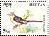 Great Spotted Cuckoo Clamator glandarius  1998 Birds Sheet