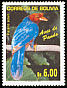 Azure Jay Cyanocorax caeruleus  2006 Birds of Pando and Santa Cruz 