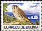 American Kestrel Falco sparverius  2007 Birds of Potosi 