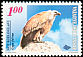 Griffon Vulture Gyps fulvus  2000 Protected birds 