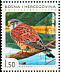 Common Kestrel Falco tinnunculus  2008 Birds of Hutovo Blato 