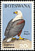 African Fish Eagle Icthyophaga vocifer  1967 Birds 