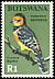 Crested Barbet Trachyphonus vaillantii  1967 Birds 