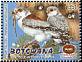 Pygmy Falcon Polihierax semitorquatus  2001 Kgalagadi transfrontier park 4v set