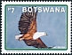 African Fish Eagle Icthyophaga vocifer  2021 Fish Eagle in Botswana 